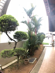 Saraca Villas (D28), Semi-Detached #179257652